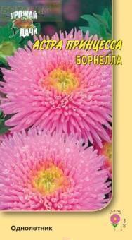 Купить оптом в Ботанике семена Астра Принцесса Борнелла УУ бренд Урожай Удачи