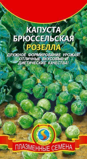 Купить оптом в Ботанике семена Капуста брюссельская Розелла Плз бренд Плазмас