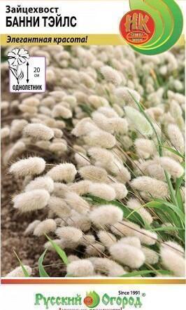 Купить оптом в Ботанике семена Зайцехвост Банни Тэйлс НК бренд НК