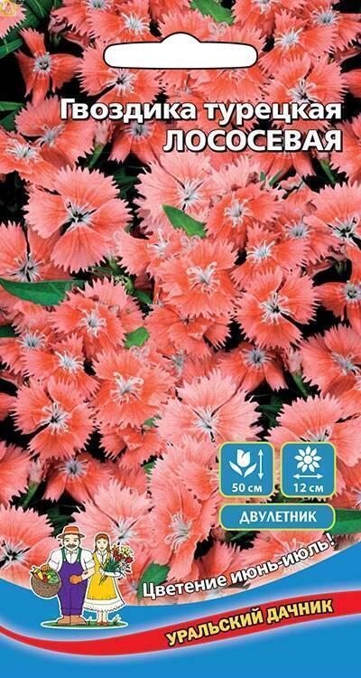 Купить оптом в Ботанике семена Гвоздика турецкая Лососевая УД бренд Уральский дачник