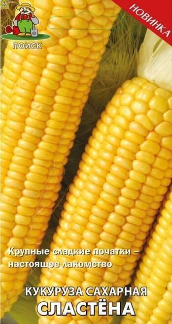 Купить оптом в Ботанике семена Кукуруза Сластёна сахарная Поиск бренд Поиск