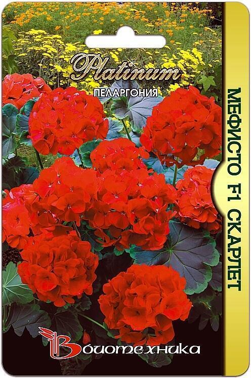 Купить оптом в Ботанике семена Пеларгония Мефисто скарлет F1 Био бренд Биотехника