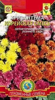 Купить оптом в Ботанике семена Хризантема Корейская смесь Плз бренд Плазмас