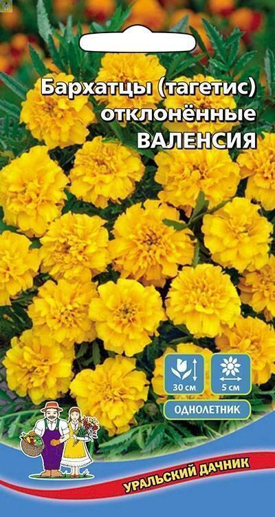 Купить оптом в Ботанике семена Бархатцы Валенсия отклоненные УД бренд Уральский дачник
