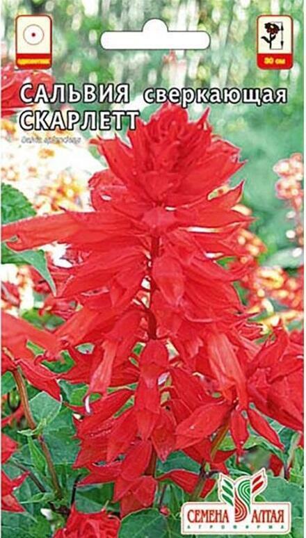Купить оптом в Ботанике семена Сальвия Скарлетт СА бренд Семена Алтая