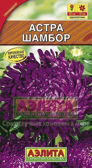 Купить оптом в Ботанике семена Астра Шамбор Аэл бренд Аэлита
