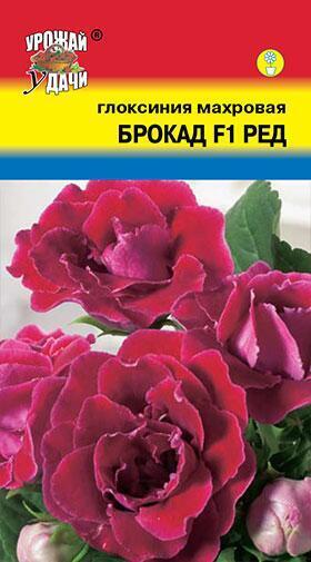 Купить оптом в Ботанике семена Глоксиния Брокад ред F1 УУ бренд Урожай Удачи