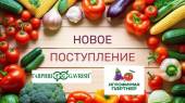 Новые поступления от «Гавриш» и «Партнер»
