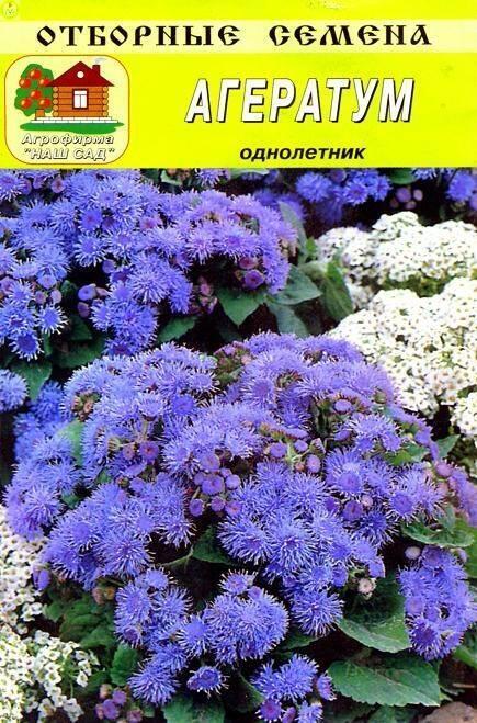 Купить оптом в Ботанике семена Агератум Голубой Наш бренд Наш сад