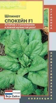 Купить оптом в Ботанике семена Шпинат Спокейн F1 * Плз бренд Плазмас