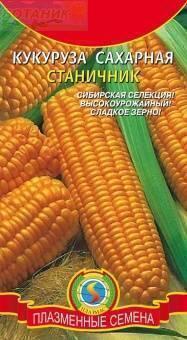 Купить оптом в Ботанике семена Кукуруза Станичник сахарная Плз бренд Плазмас