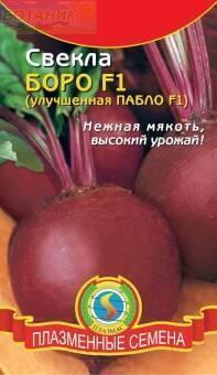 Купить оптом в Ботанике семена Свекла Боро F1 Плз бренд Плазмас