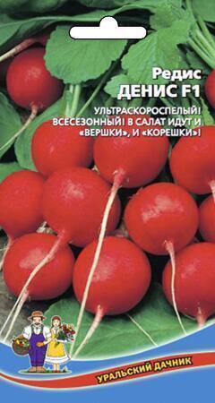 Купить оптом в Ботанике семена Редис Денис F1 УД бренд Уральский дачник