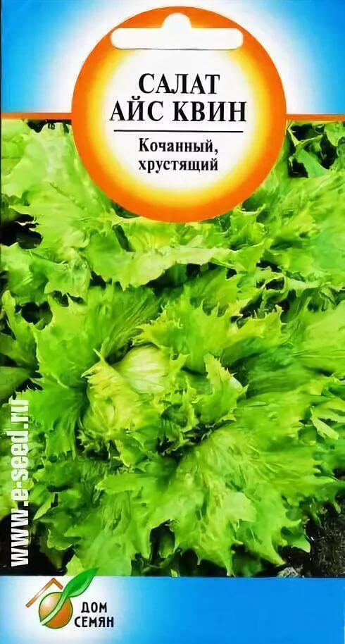 Купить оптом в Ботанике семена Салат Айс Квин ССО бренд Сортсемовощ