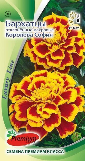 Купить оптом в Ботанике семена Бархатцы Королева София ПС бренд Премиум Сидс
