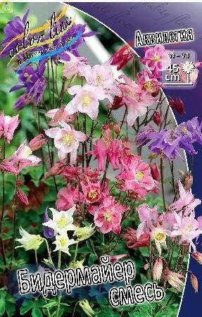 Купить оптом в Ботанике Аквилегия Бидермайер 3 шт 