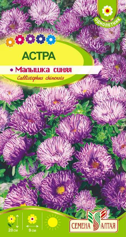 Купить оптом в Ботанике семена Астра Малышка синяя СА бренд Семена Алтая