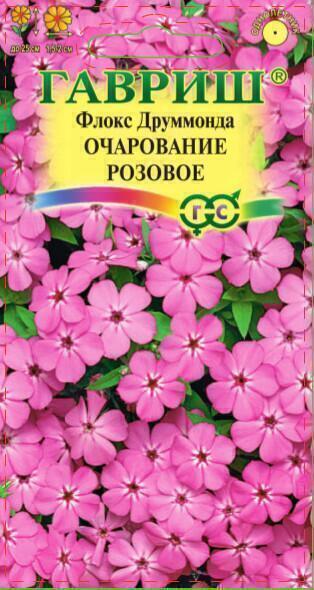 Купить оптом в Ботанике семена Флокс Очарование розовое друммонда Гав бренд Гавриш