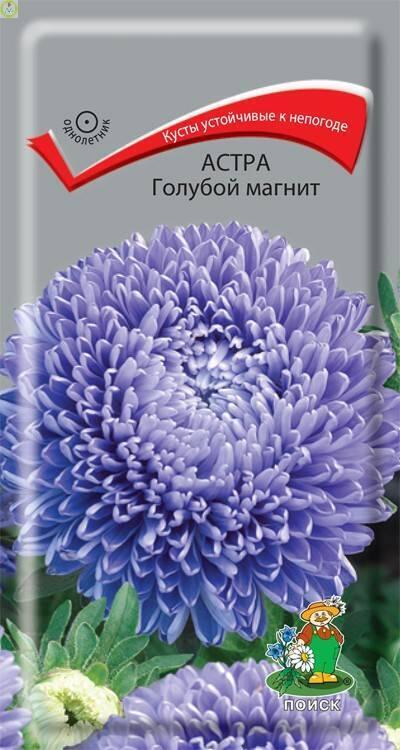 Купить оптом в Ботанике семена Астра Голубой магнит Поиск бренд Поиск