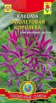 Купить оптом в Ботанике семена Клеома Фиолетовая королева Плз бренд Плазмас
