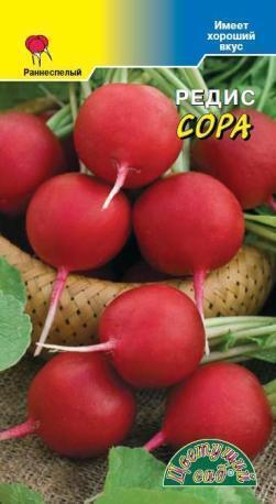 Купить оптом в Ботанике семена Редис Сора ЦС бренд Цветущий Сад