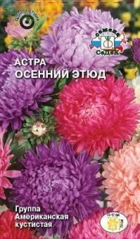Купить оптом в Ботанике семена Астра Осенний этюд Сед бренд СеДеК