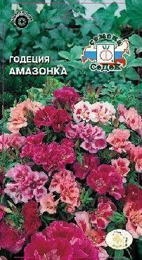 Купить оптом в Ботанике семена Годеция Амазонка Сед бренд СеДеК