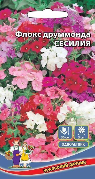 Купить оптом в Ботанике семена Флокс Сесилия друммонда УД бренд Уральский дачник