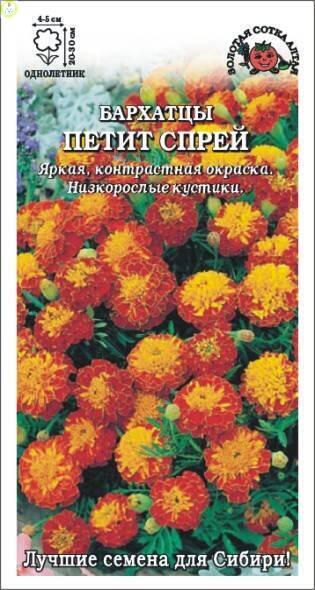 Купить оптом в Ботанике семена Бархатцы Петит Спрей ЗС бренд Золотая сотка