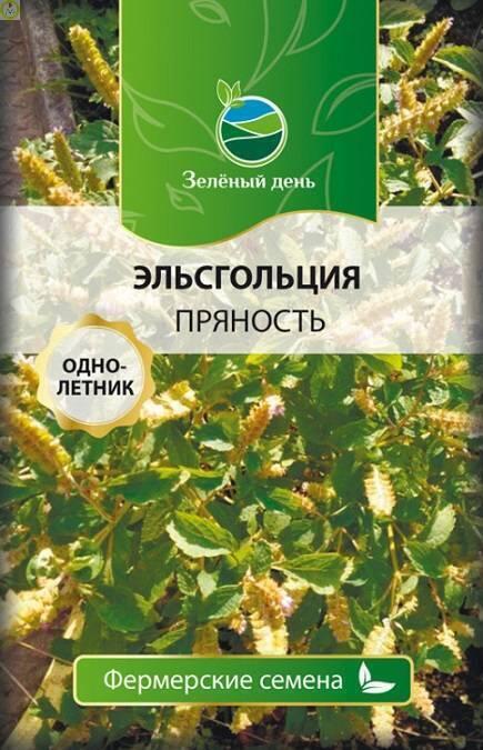 Купить оптом в Ботанике семена Эльсгольция пряность Реш бренд Решение, ООО