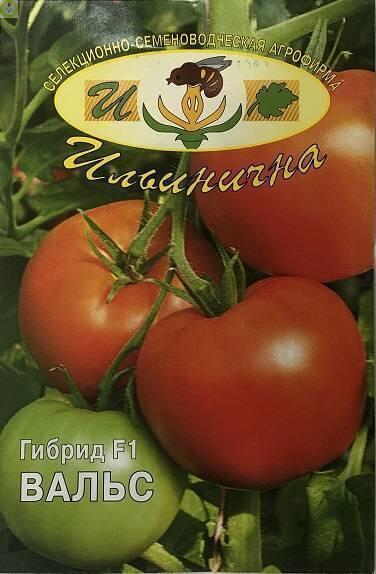 Купить оптом в Ботанике семена Томат Вальс F1 Иль бренд Ильинична