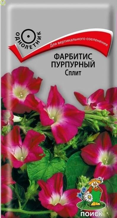 Купить оптом в Ботанике семена Фарбитис пурпурный Сплит Поиск бренд Поиск