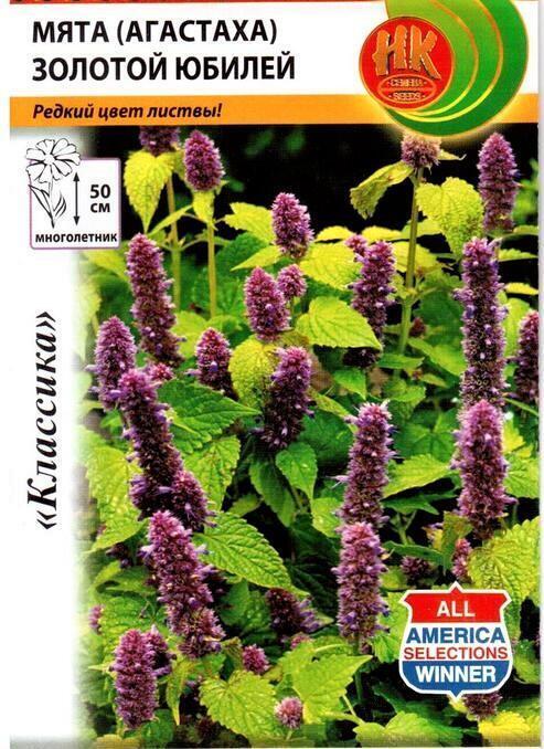 Купить оптом в Ботанике семена Мята Золотой юбилей НК бренд НК