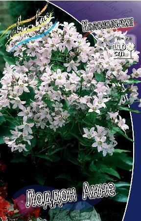 Купить оптом в Ботанике Колокольчик Лоддон Анне 2 шт