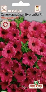 Купить оптом в Ботанике семена Петуния Суперкаскадная бургунди СА бренд Семена Алтая