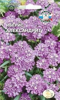 Купить оптом в Ботанике семена Иберис Александрит Сед бренд СеДеК