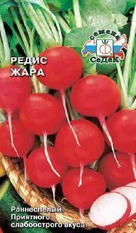 Купить оптом в Ботанике семена Редис Жара Сед бренд СеДеК