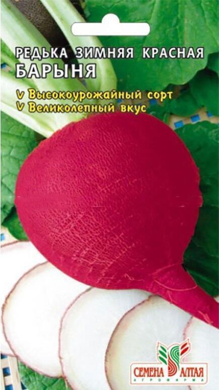 Купить оптом в Ботанике семена Редька Барыня зимняя красная СА бренд Семена Алтая