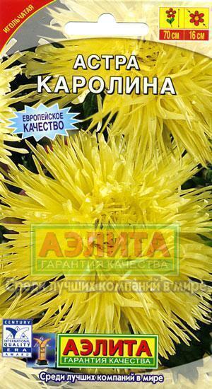 Купить оптом в Ботанике семена Астра Каролина Аэл бренд Аэлита
