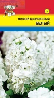 Купить оптом в Ботанике семена Левкой Белый карликовый УУ бренд Урожай Удачи