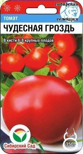 Купить оптом в Ботанике семена Томат Чудесная гроздь СС бренд Сиб.сад