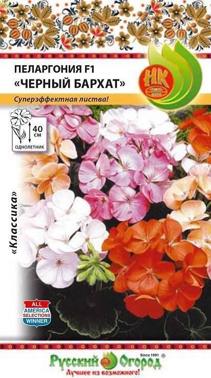 Купить оптом в Ботанике семена Пеларгония Черный бархат смесь НК бренд НК