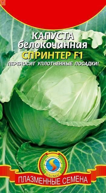 Купить оптом в Ботанике семена Капуста белокочанная Спринтер Плз бренд Плазмас