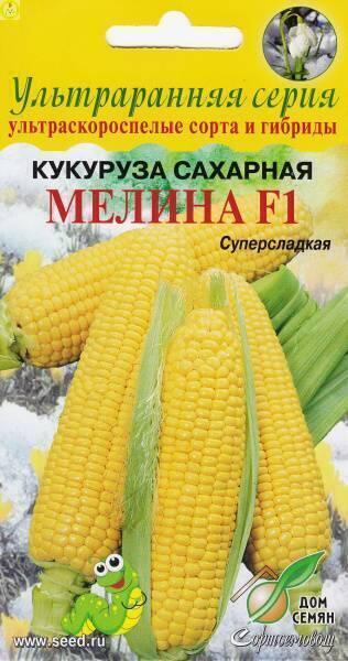 Купить оптом в Ботанике семена Кукуруза Мелина F1 ССО бренд Сортсемовощ