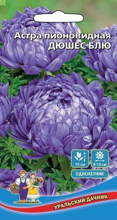 Купить оптом в Ботанике семена Астра Дюшес Блю пионовидная УД бренд Уральский дачник