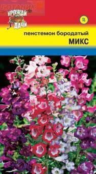 Купить оптом в Ботанике семена Пенстемон Бородатый микс УУ бренд Урожай Удачи