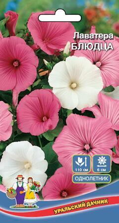 Купить оптом в Ботанике семена Лаватера Блюдца УД бренд Уральский дачник