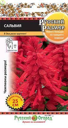 Купить оптом в Ботанике семена Сальвия Русский размер НК бренд НК