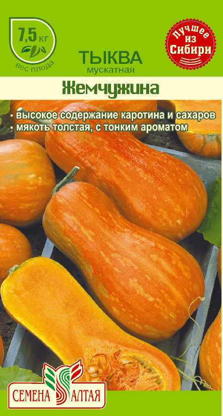 Купить оптом в Ботанике семена Тыква Жемчужина мускатная СА бренд Семена Алтая