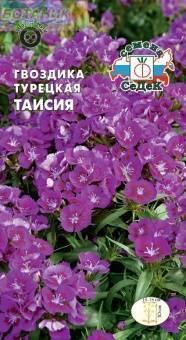 Купить оптом в Ботанике семена Гвоздика турецкая Таисия Сед бренд СеДеК